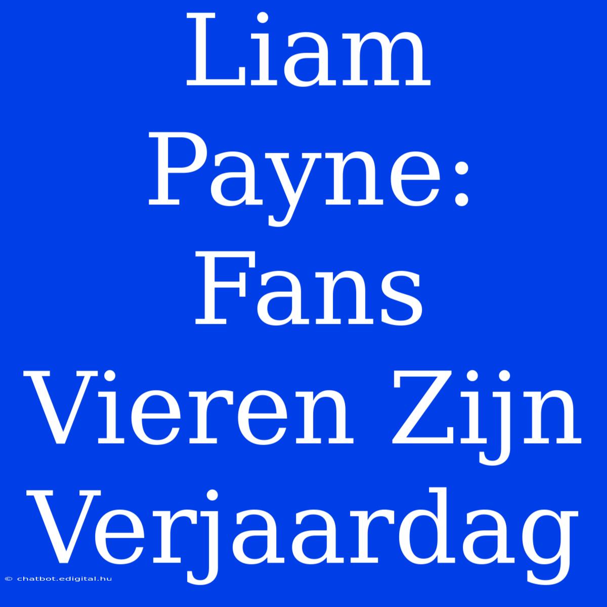 Liam Payne: Fans Vieren Zijn Verjaardag 