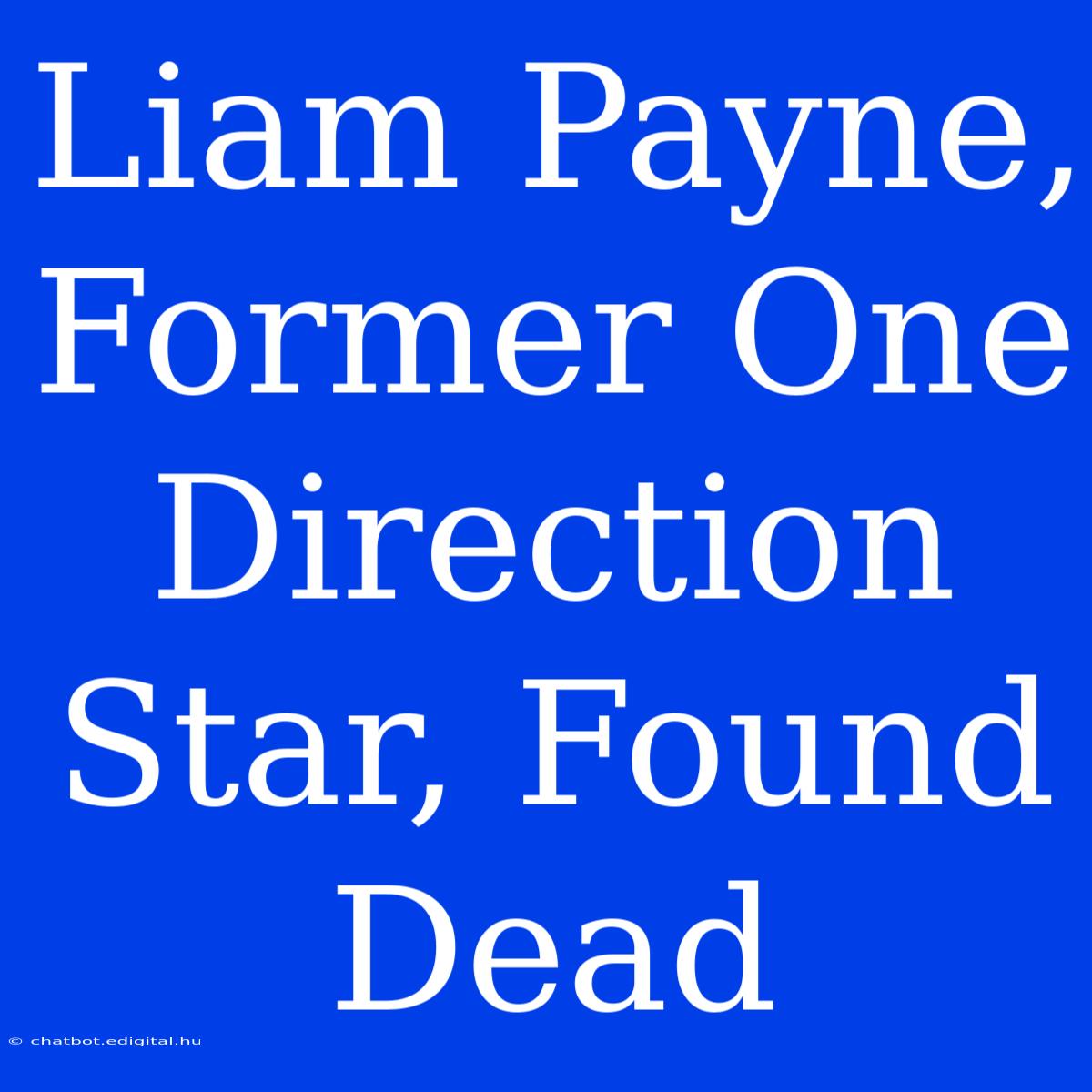 Liam Payne, Former One Direction Star, Found Dead