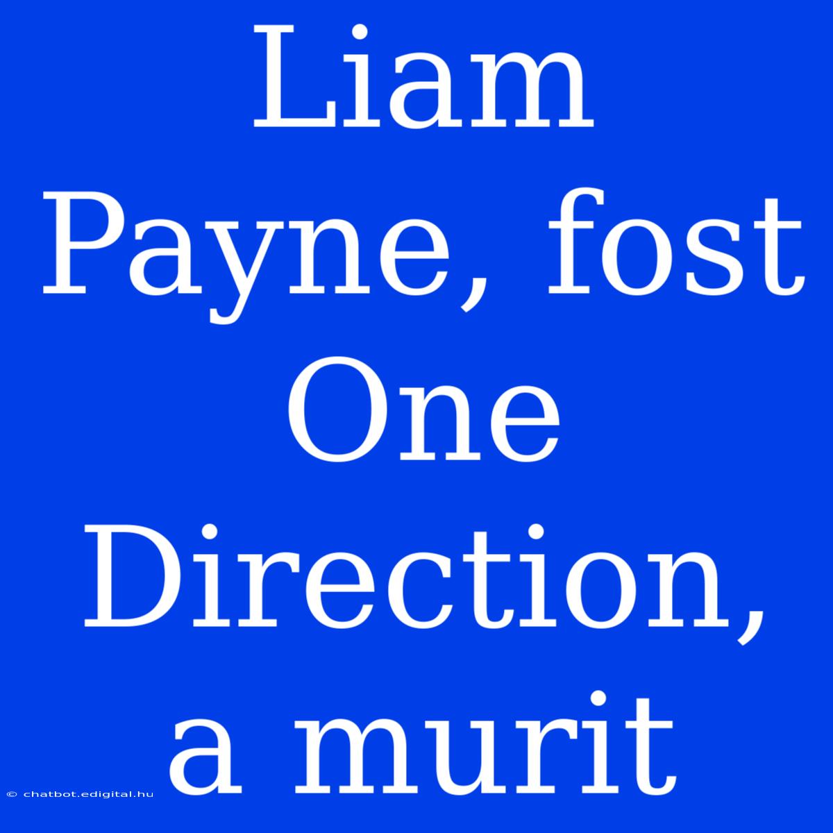 Liam Payne, Fost One Direction, A Murit