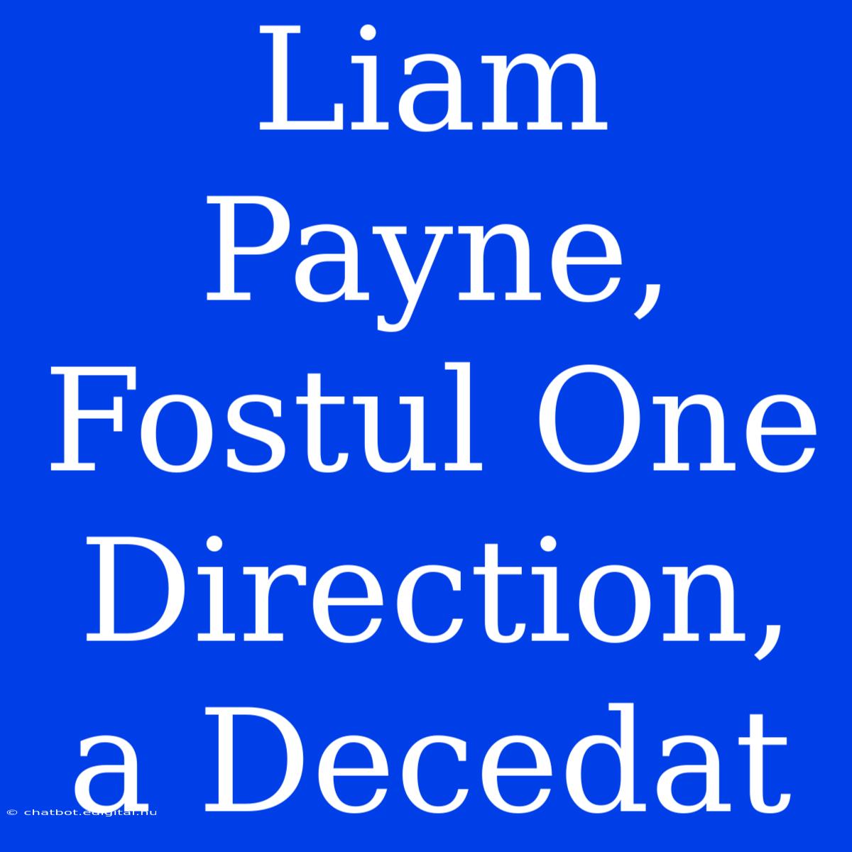 Liam Payne, Fostul One Direction, A Decedat