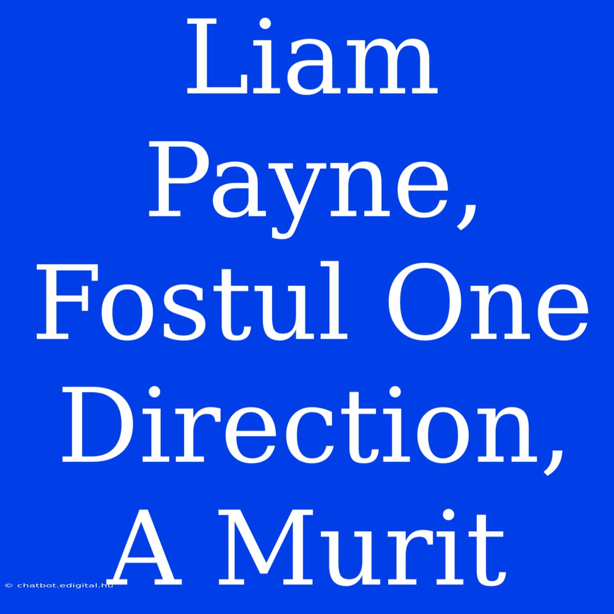 Liam Payne, Fostul One Direction, A Murit