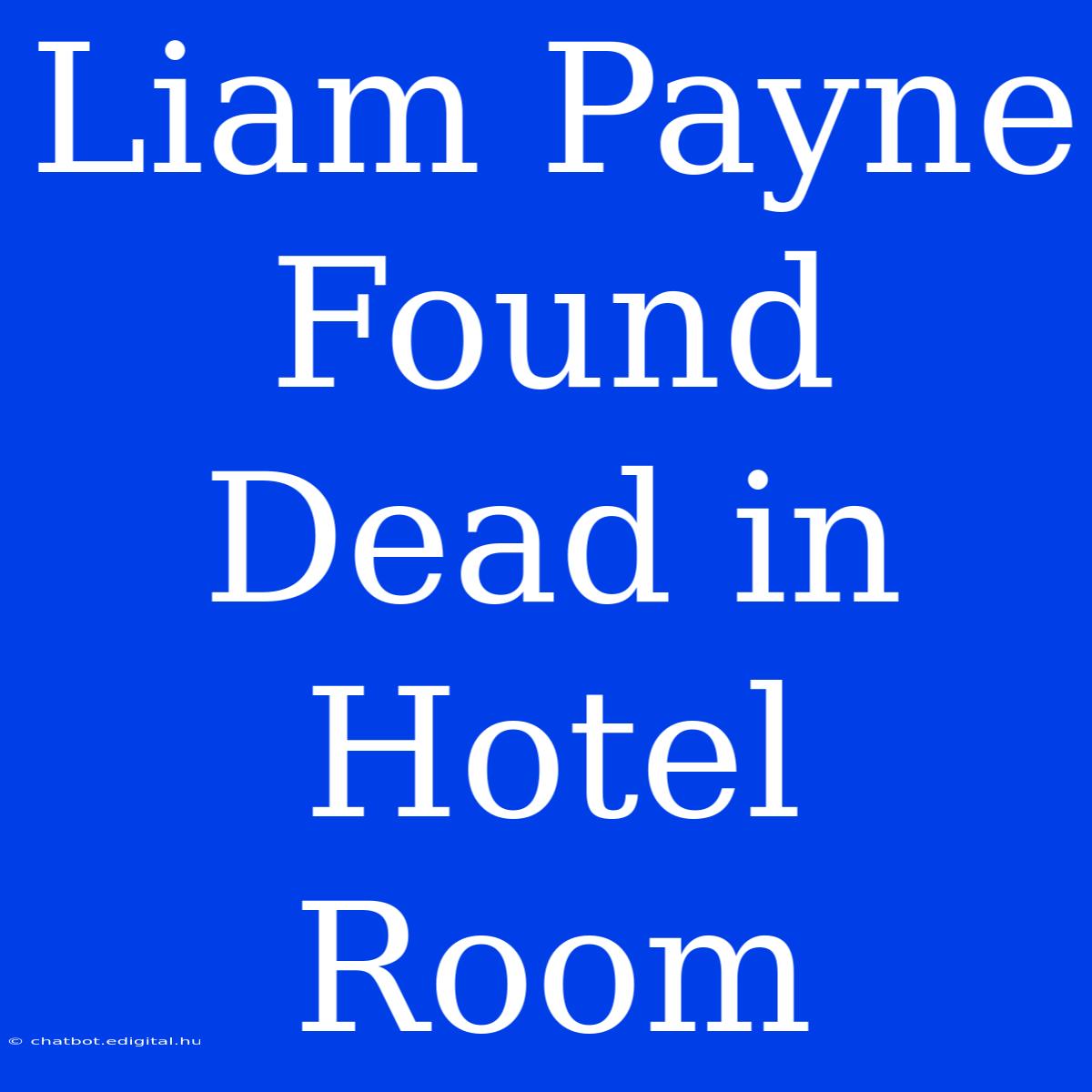 Liam Payne Found Dead In Hotel Room