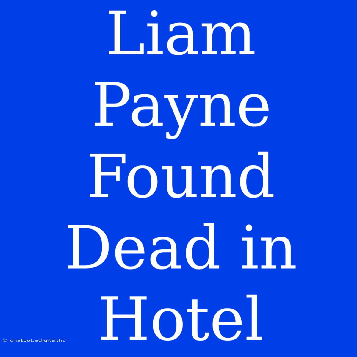 Liam Payne Found Dead In Hotel