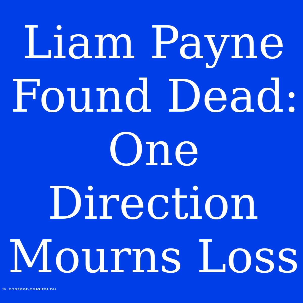 Liam Payne Found Dead: One Direction Mourns Loss 