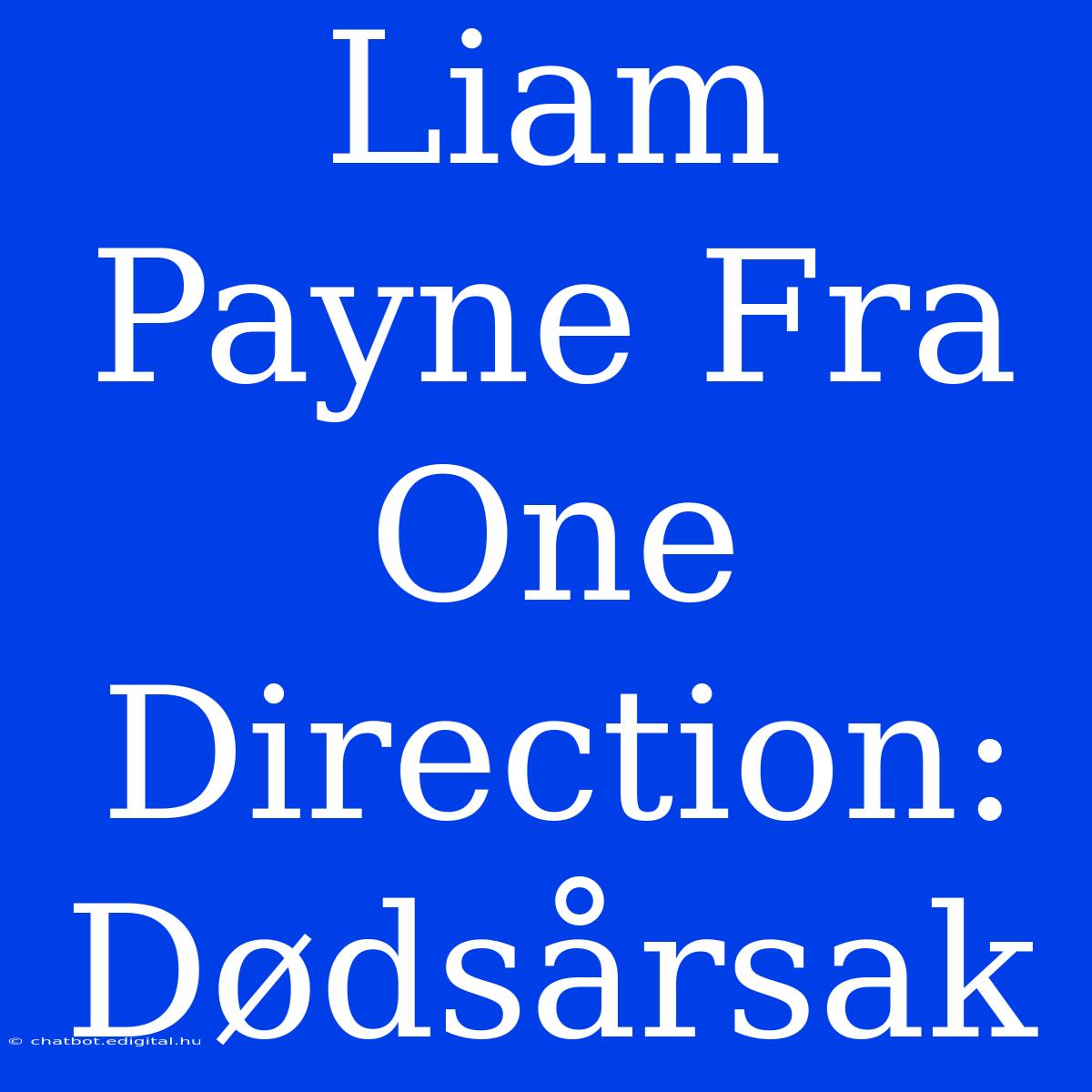 Liam Payne Fra One Direction: Dødsårsak