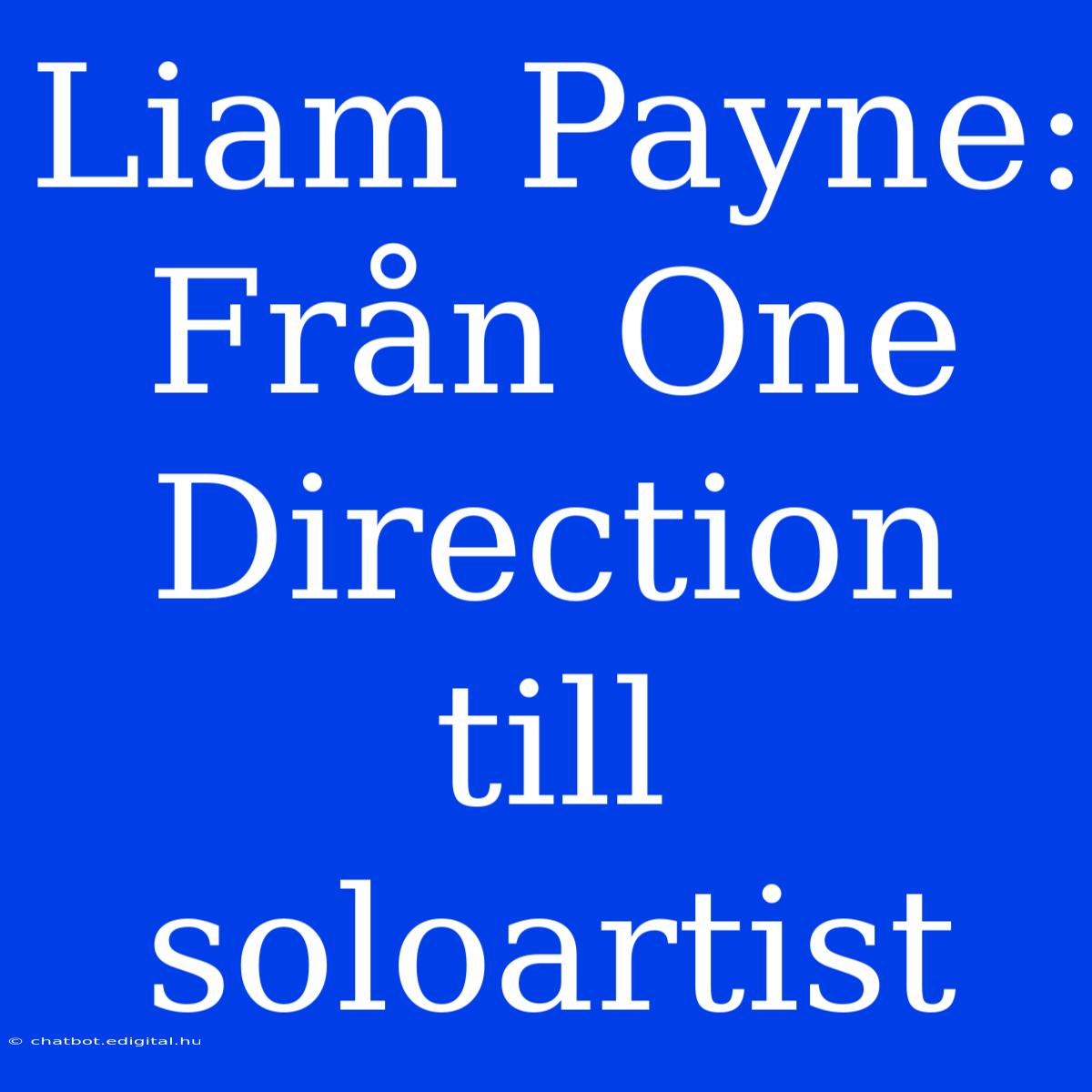 Liam Payne: Från One Direction Till Soloartist