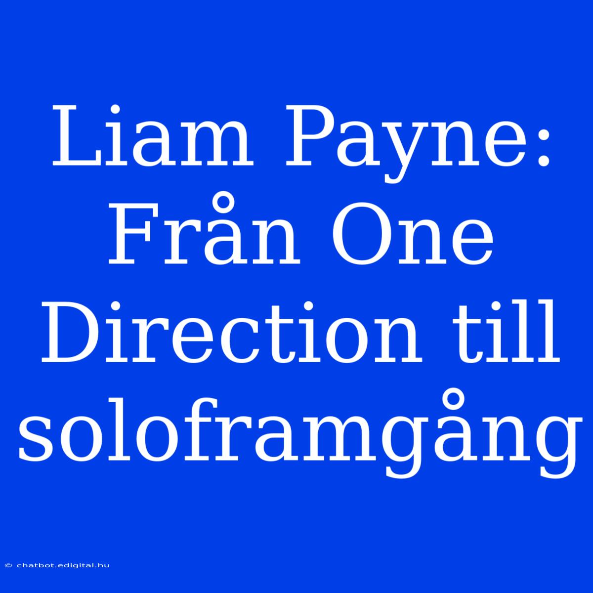 Liam Payne: Från One Direction Till Soloframgång