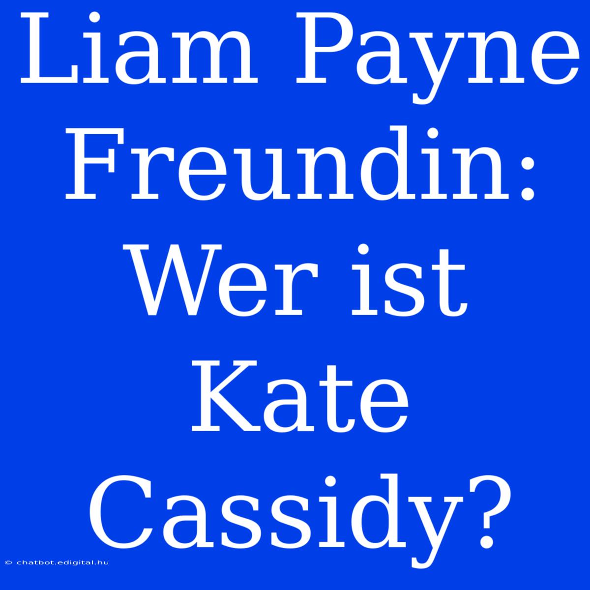 Liam Payne Freundin: Wer Ist Kate Cassidy?