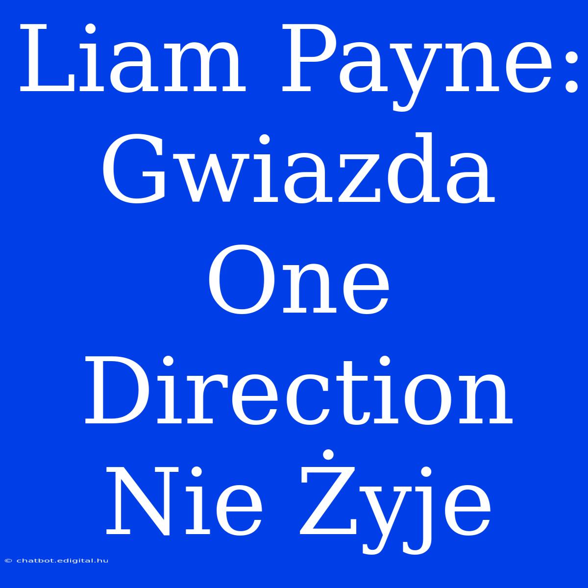 Liam Payne: Gwiazda One Direction Nie Żyje 