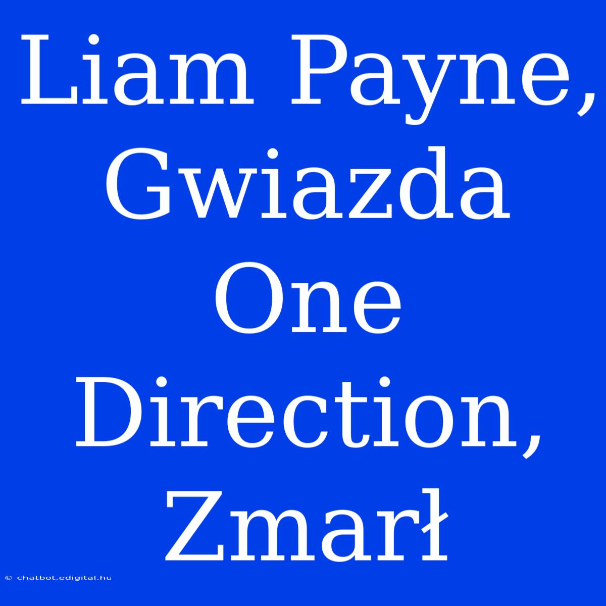 Liam Payne, Gwiazda One Direction, Zmarł