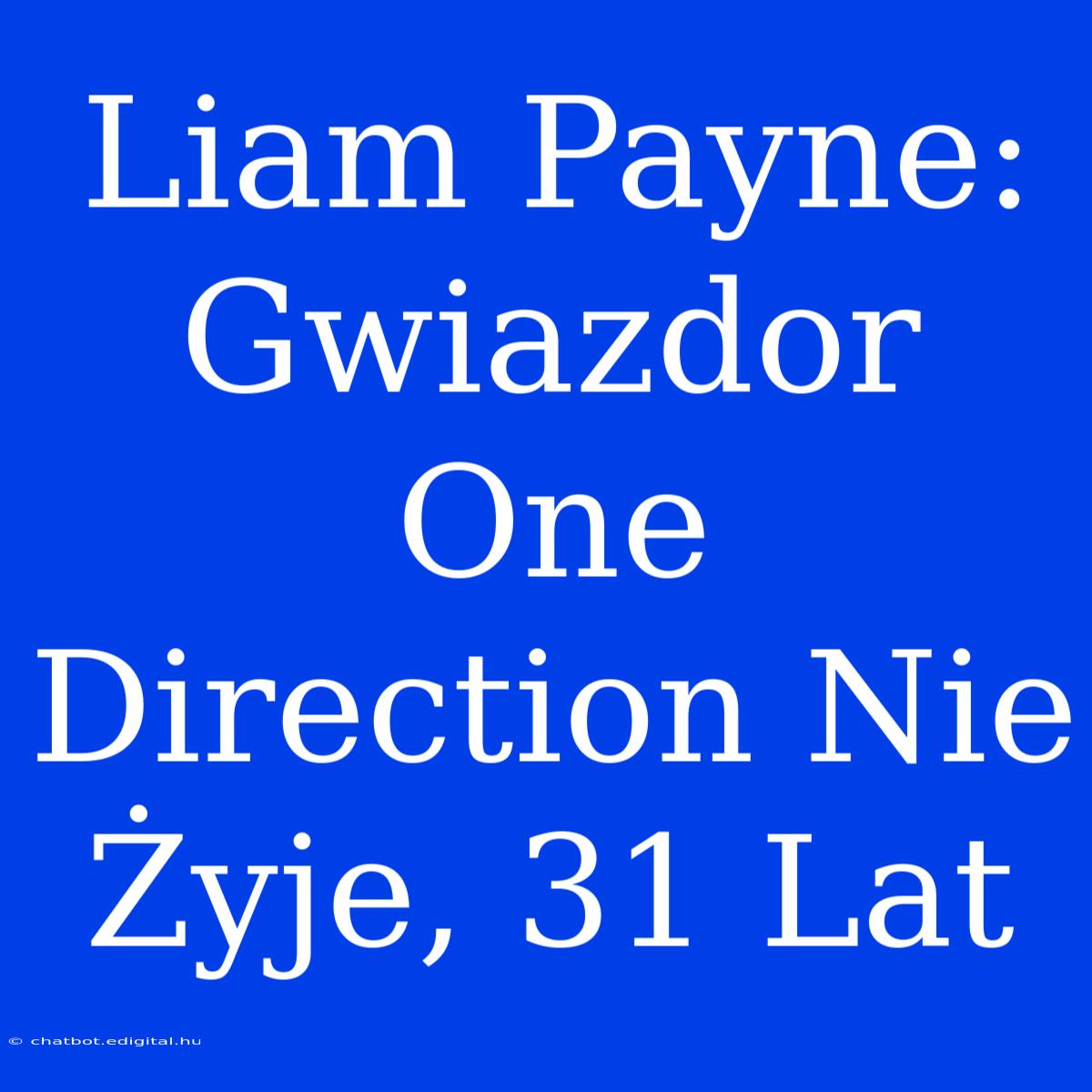 Liam Payne: Gwiazdor One Direction Nie Żyje, 31 Lat