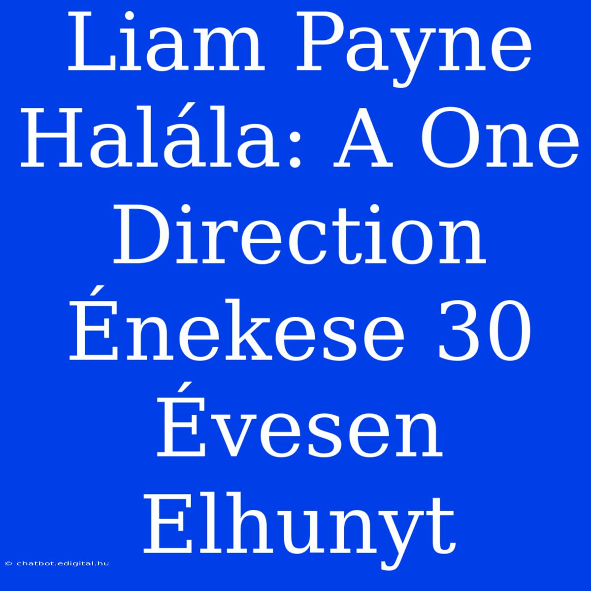 Liam Payne Halála: A One Direction Énekese 30 Évesen Elhunyt