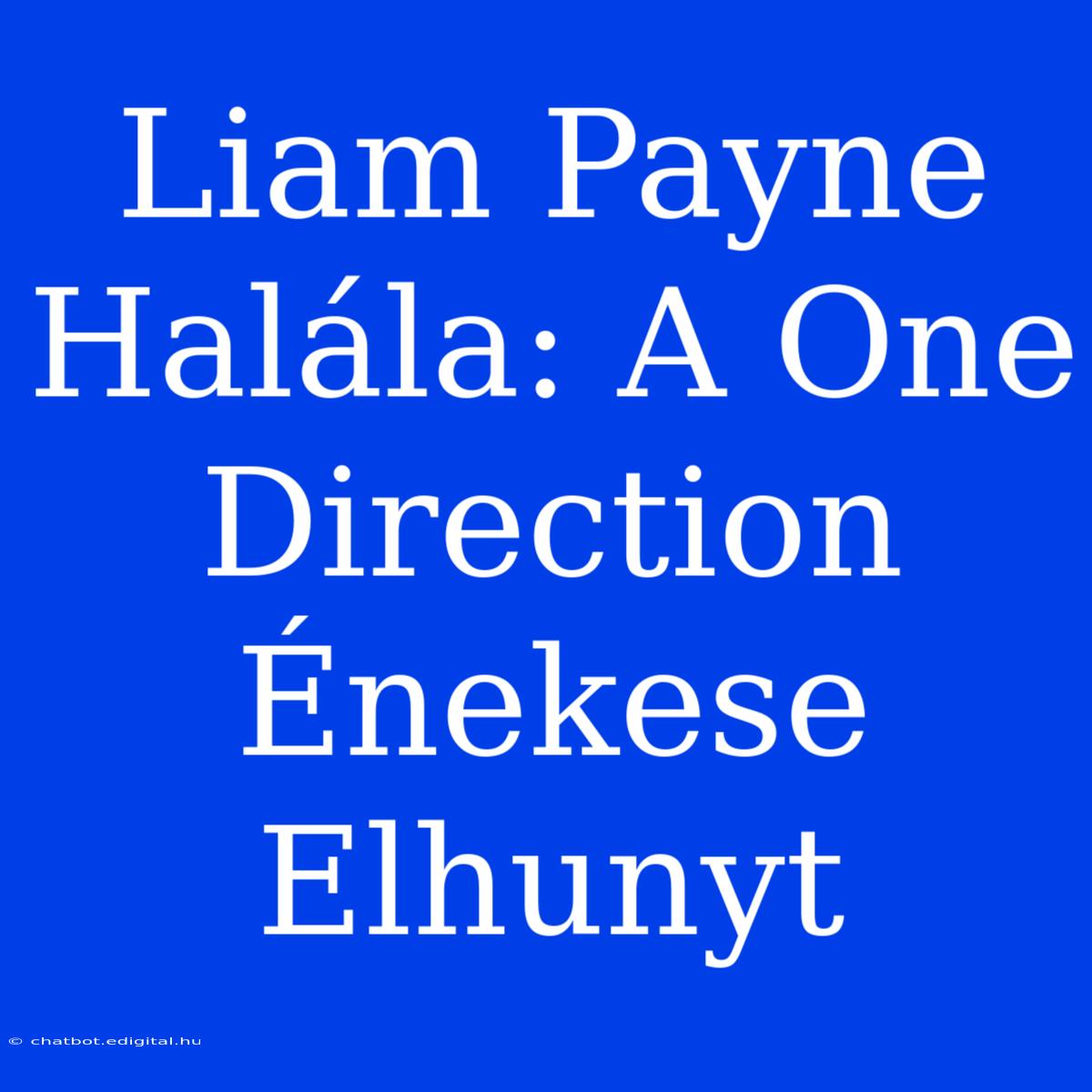 Liam Payne Halála: A One Direction Énekese Elhunyt