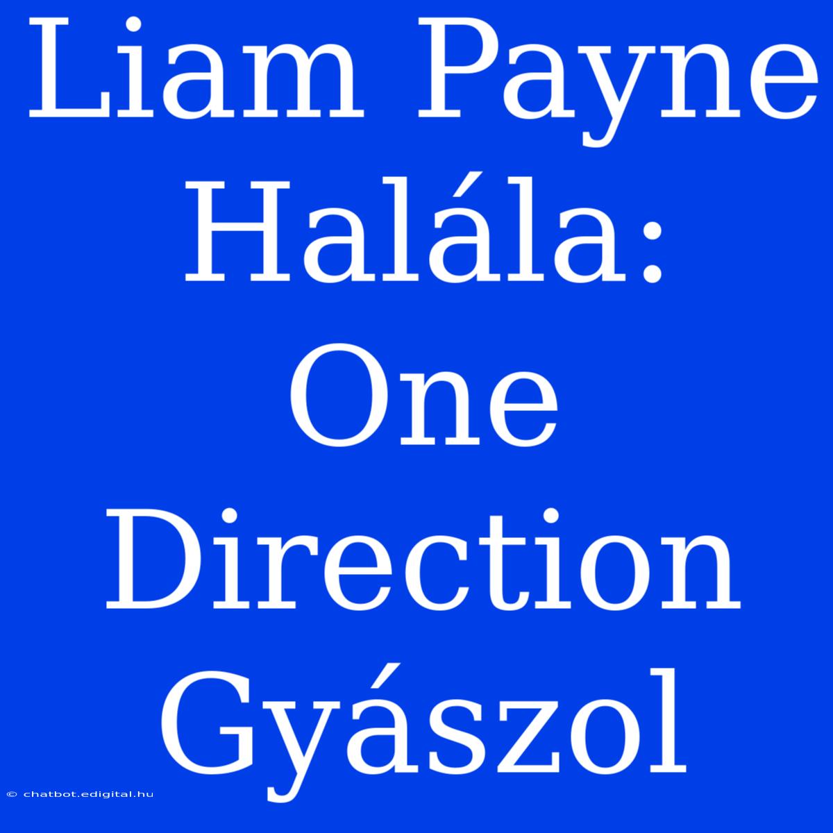 Liam Payne Halála: One Direction Gyászol