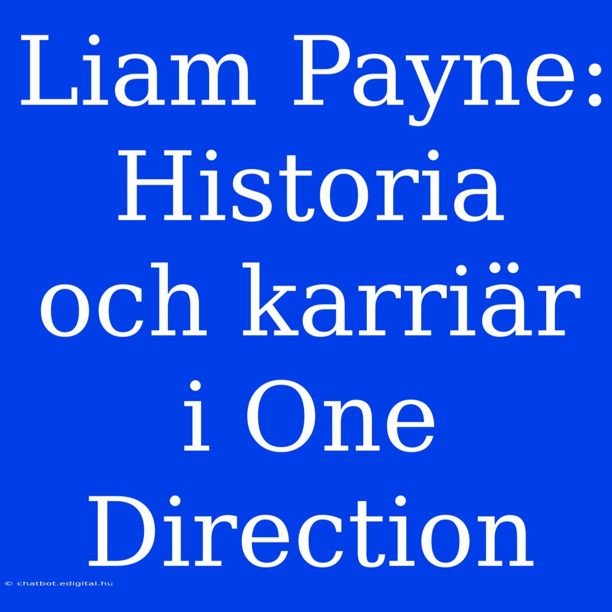 Liam Payne: Historia Och Karriär I One Direction