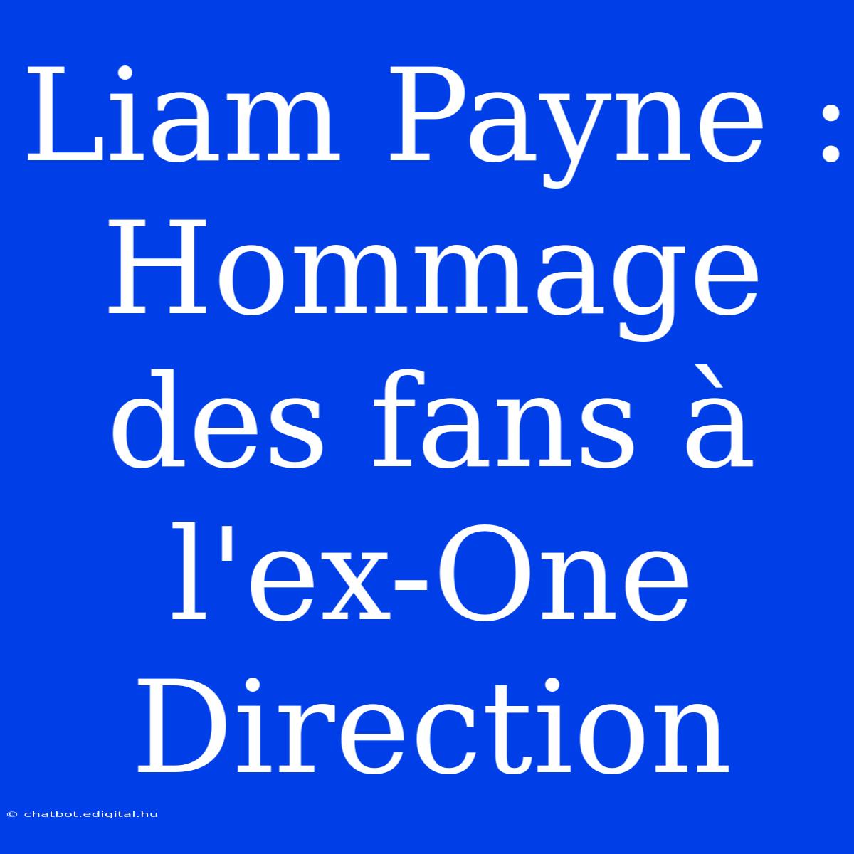 Liam Payne : Hommage Des Fans À L'ex-One Direction