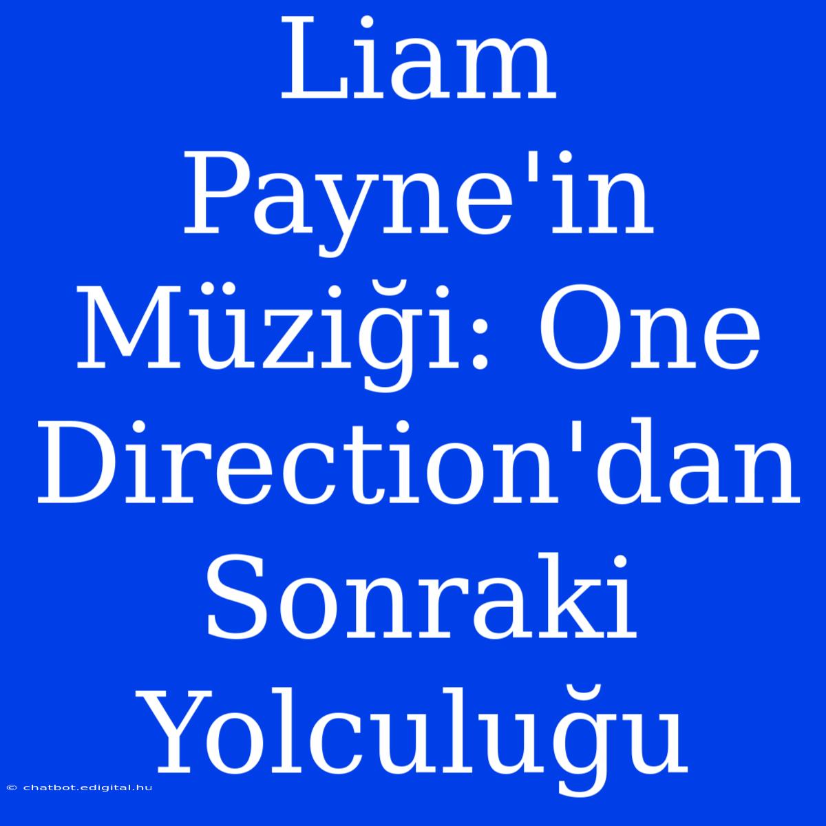 Liam Payne'in Müziği: One Direction'dan Sonraki Yolculuğu