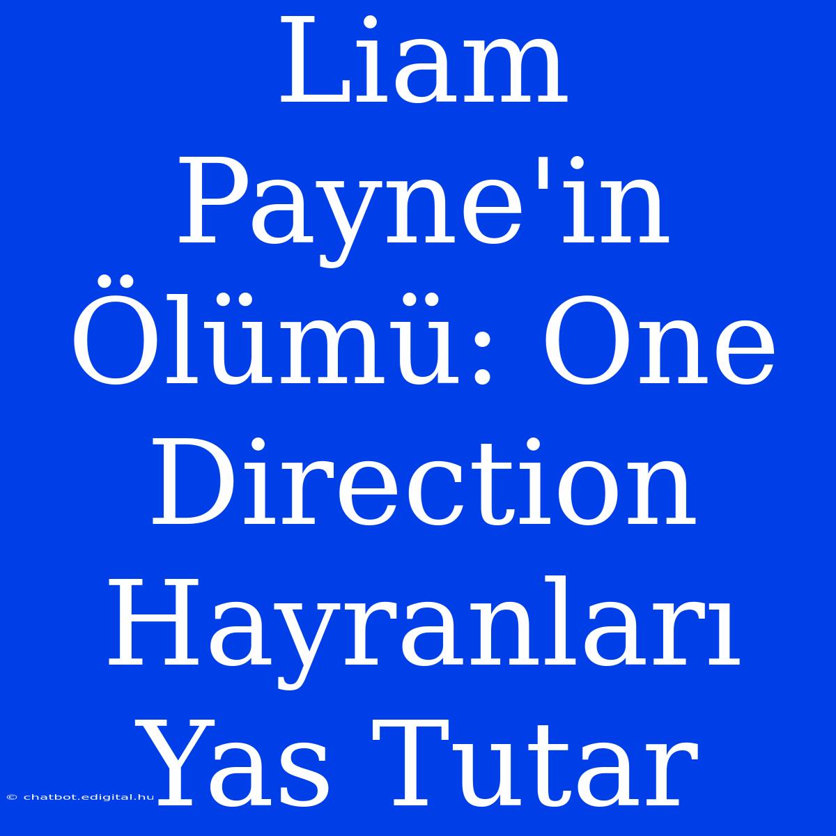 Liam Payne'in Ölümü: One Direction Hayranları Yas Tutar