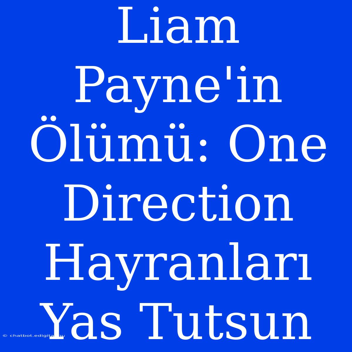 Liam Payne'in Ölümü: One Direction Hayranları Yas Tutsun