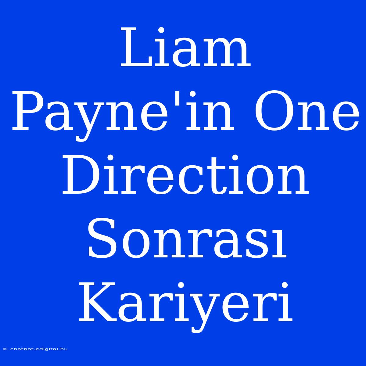 Liam Payne'in One Direction Sonrası Kariyeri