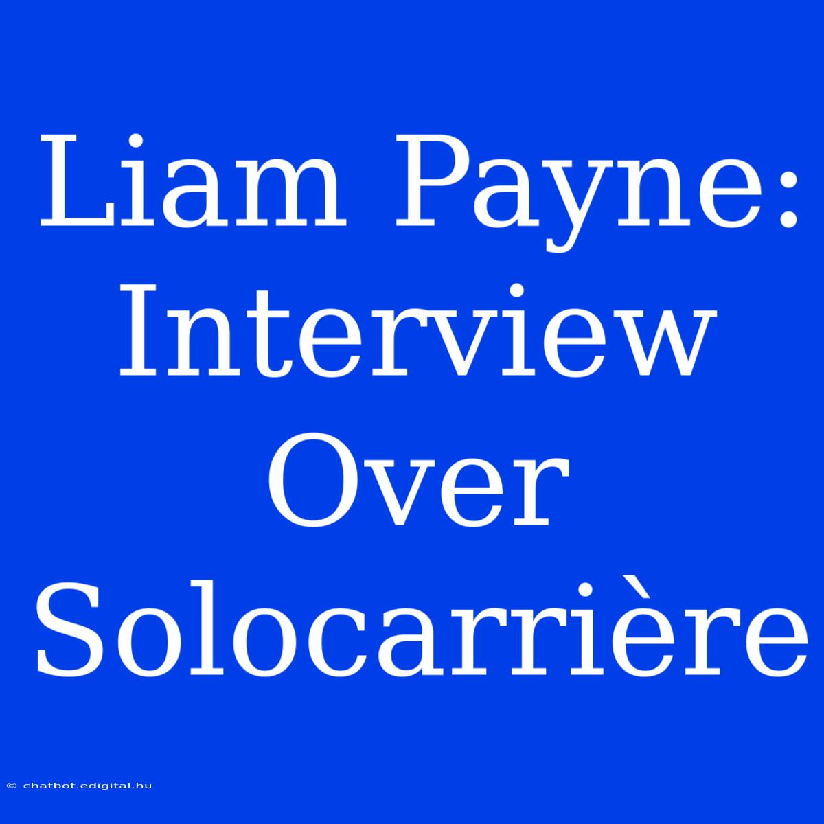 Liam Payne: Interview Over Solocarrière