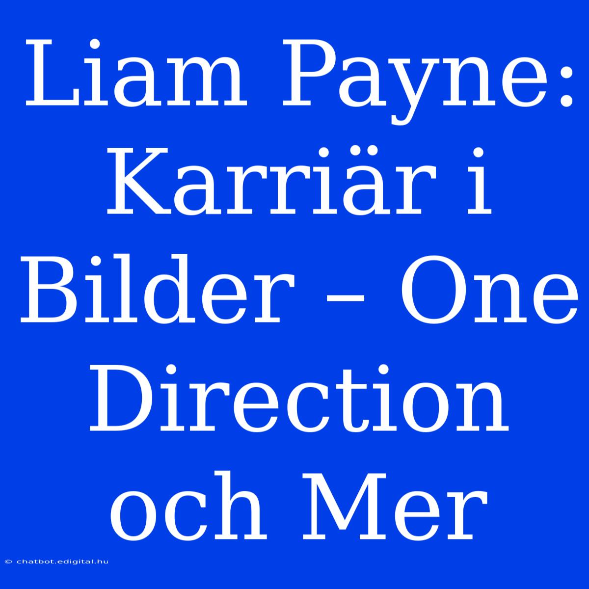 Liam Payne: Karriär I Bilder – One Direction Och Mer