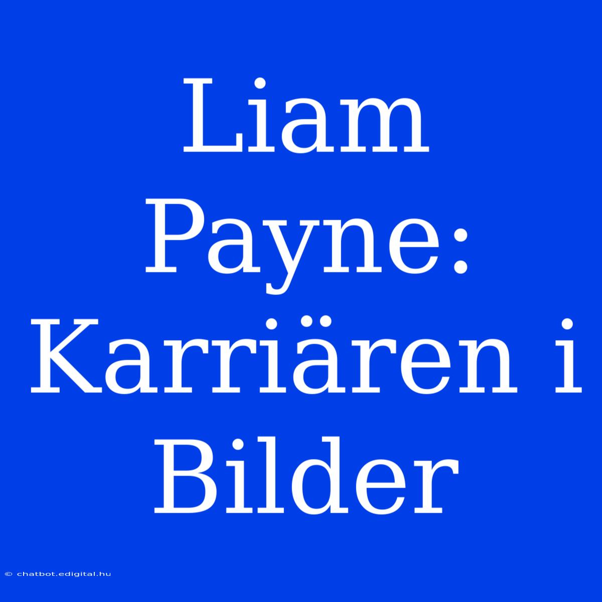 Liam Payne: Karriären I Bilder