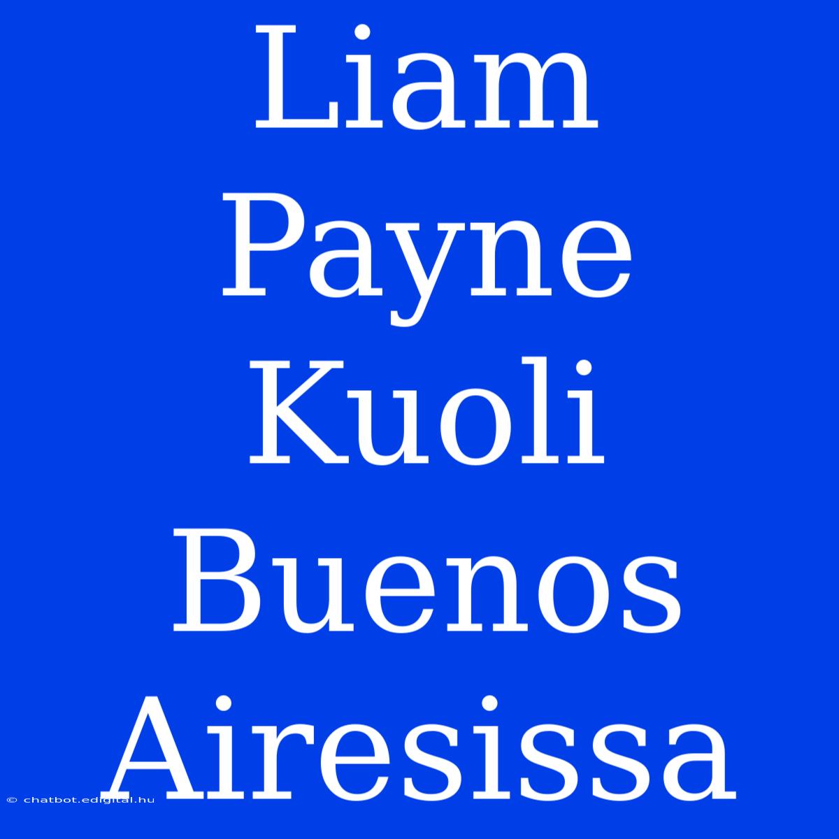 Liam Payne Kuoli Buenos Airesissa