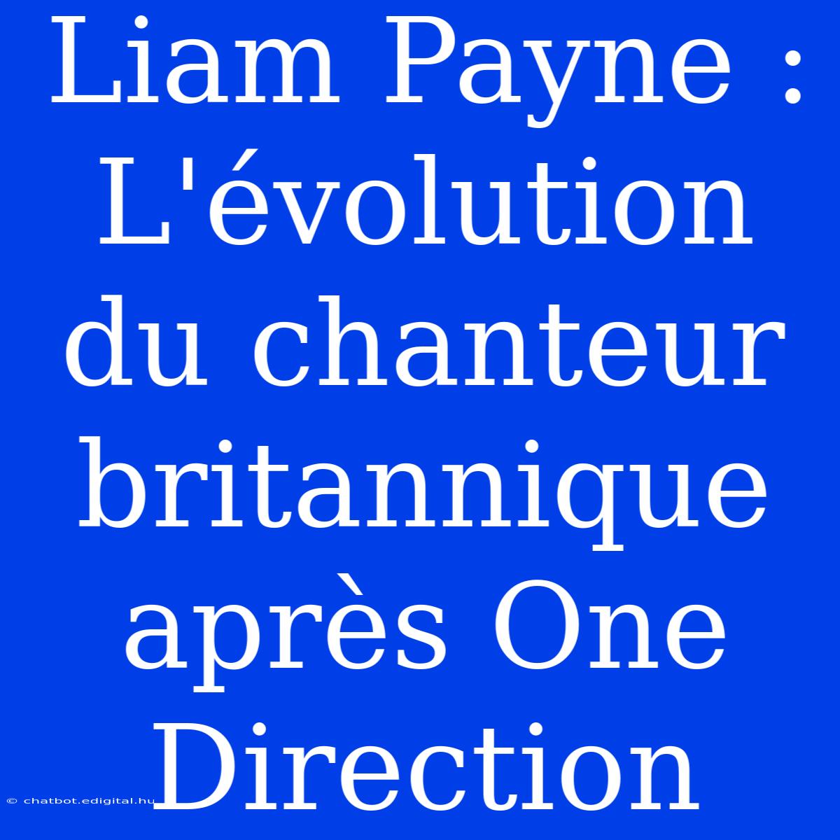 Liam Payne : L'évolution Du Chanteur Britannique Après One Direction