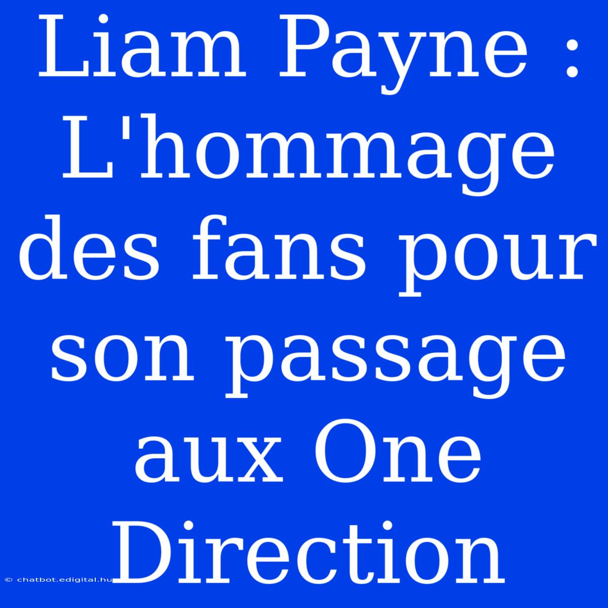 Liam Payne : L'hommage Des Fans Pour Son Passage Aux One Direction