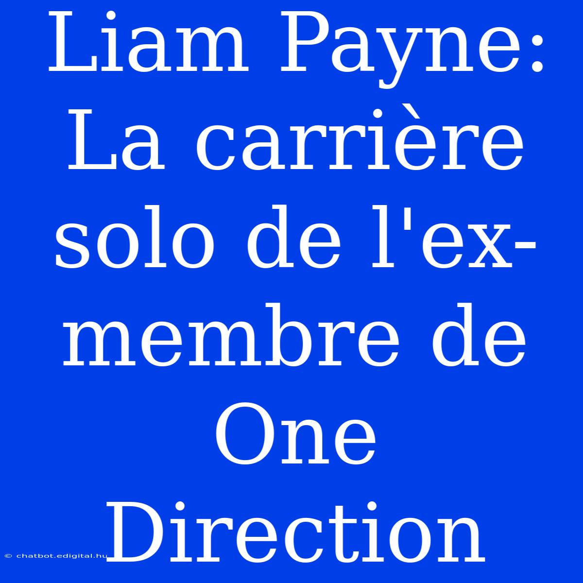 Liam Payne: La Carrière Solo De L'ex-membre De One Direction