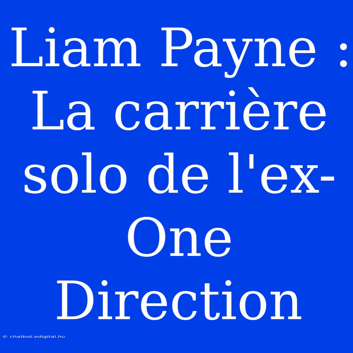 Liam Payne : La Carrière Solo De L'ex-One Direction