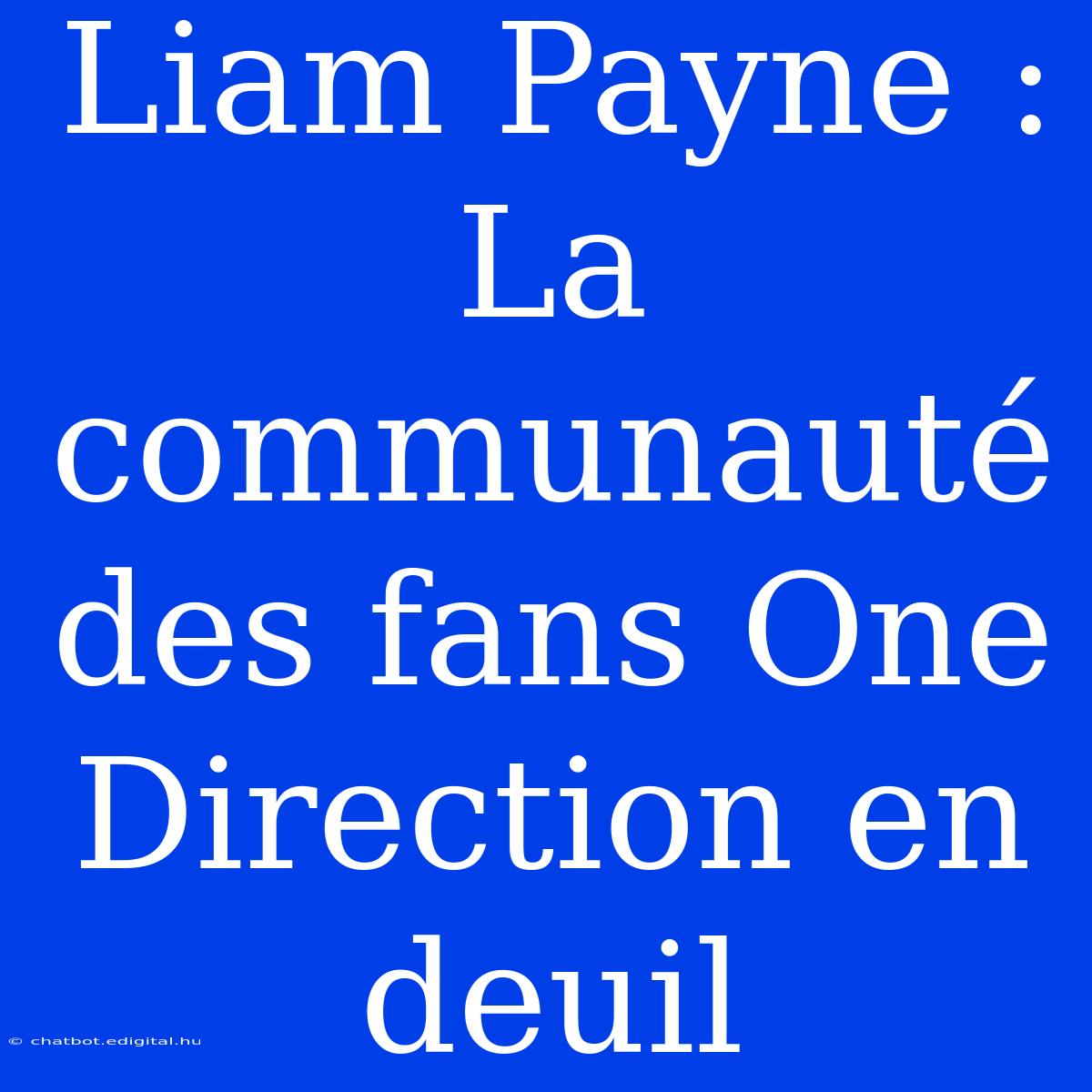 Liam Payne : La Communauté Des Fans One Direction En Deuil 