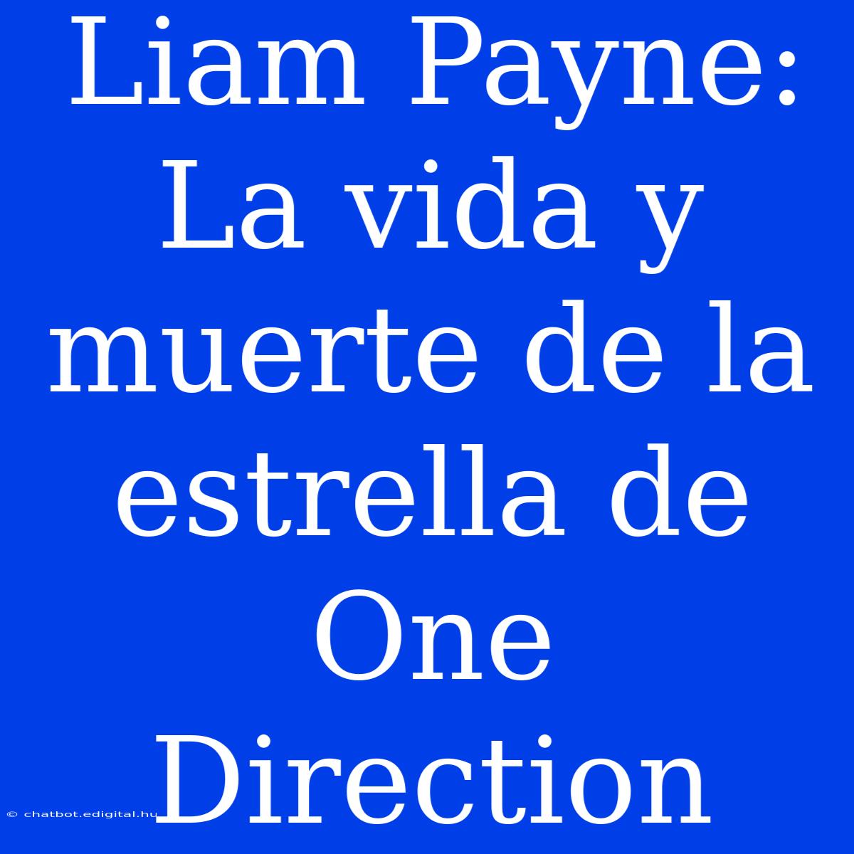 Liam Payne: La Vida Y Muerte De La Estrella De One Direction