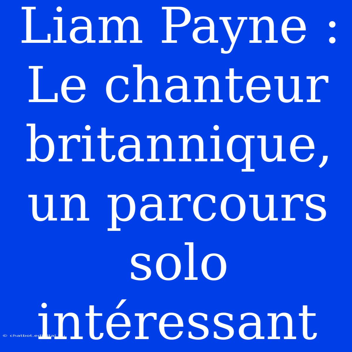 Liam Payne : Le Chanteur Britannique, Un Parcours Solo Intéressant 