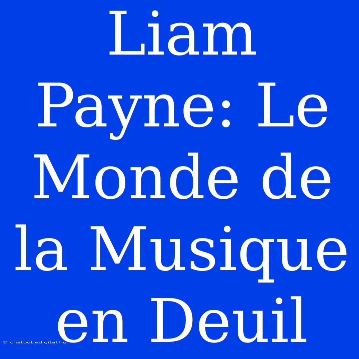 Liam Payne: Le Monde De La Musique En Deuil