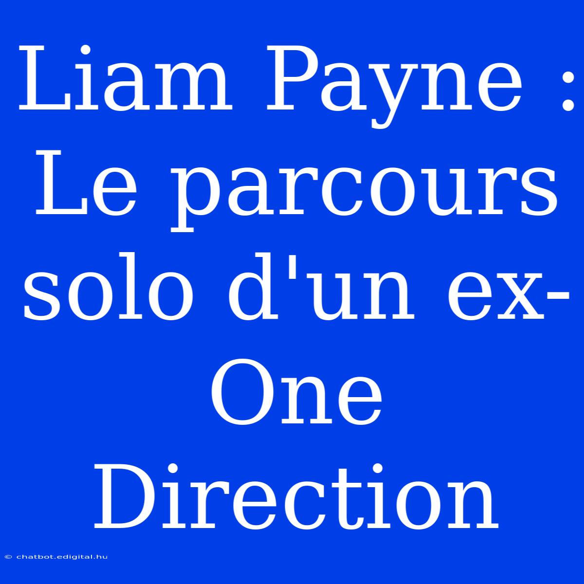 Liam Payne : Le Parcours Solo D'un Ex-One Direction