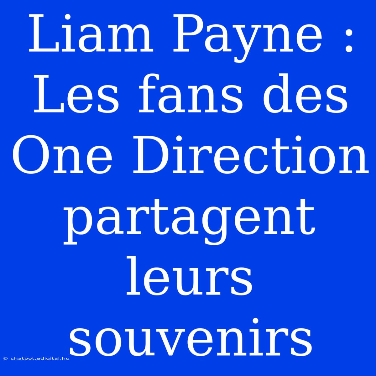 Liam Payne : Les Fans Des One Direction Partagent Leurs Souvenirs