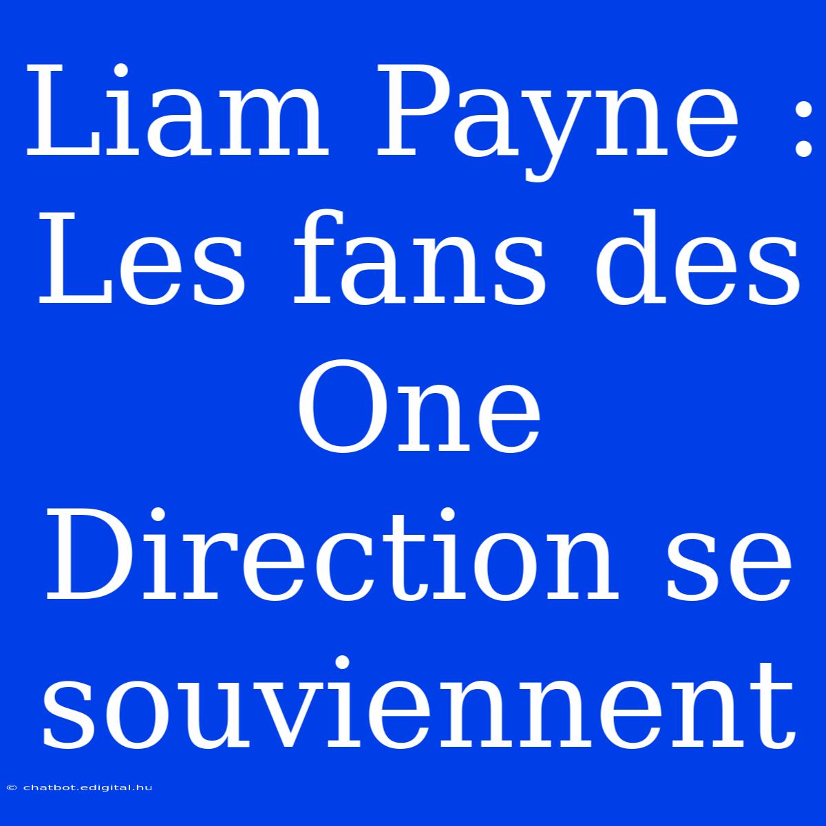 Liam Payne : Les Fans Des One Direction Se Souviennent 