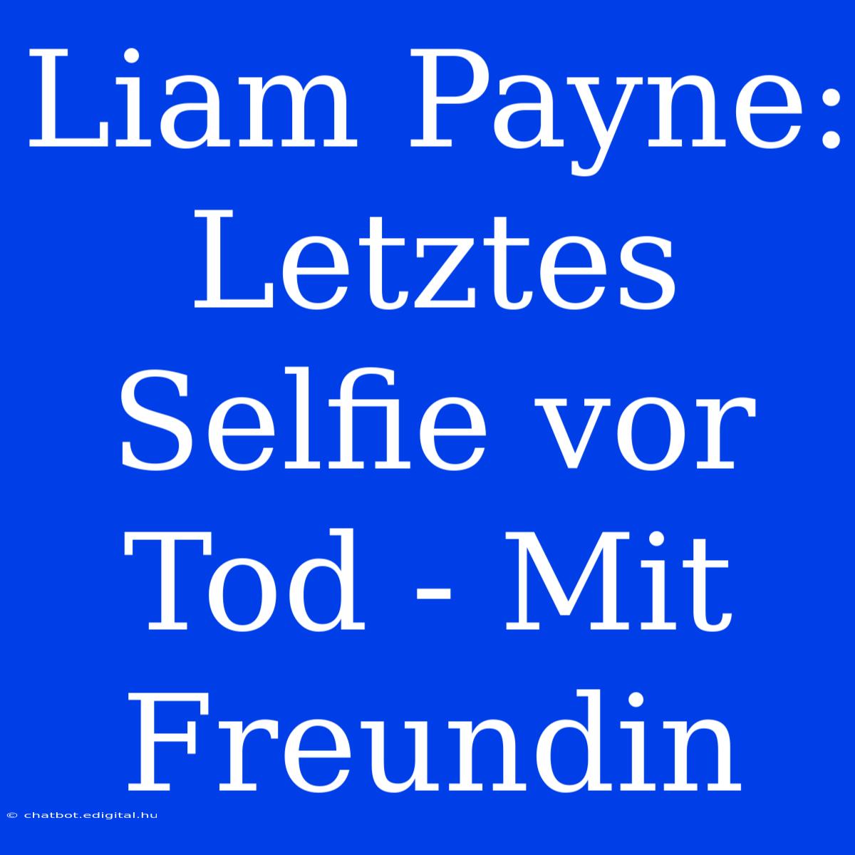 Liam Payne:  Letztes Selfie Vor Tod - Mit Freundin 