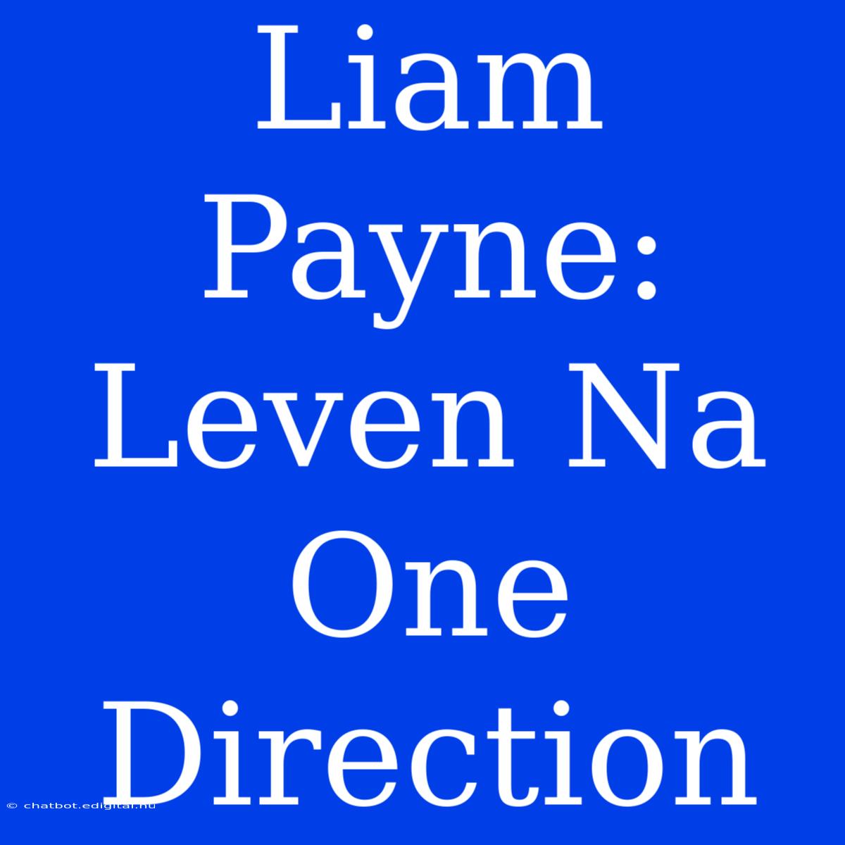 Liam Payne: Leven Na One Direction