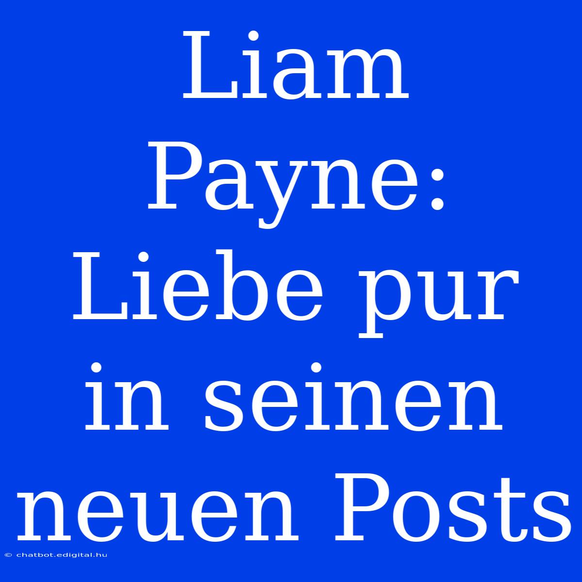 Liam Payne: Liebe Pur In Seinen Neuen Posts