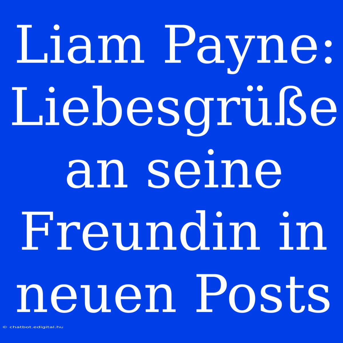 Liam Payne: Liebesgrüße An Seine Freundin In Neuen Posts 