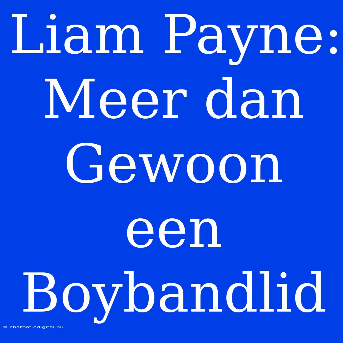 Liam Payne: Meer Dan Gewoon Een Boybandlid 