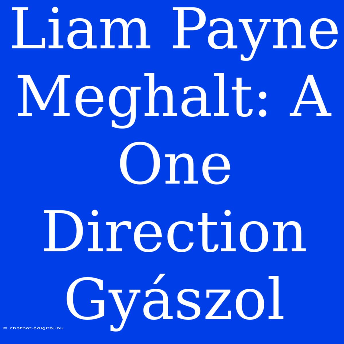 Liam Payne Meghalt: A One Direction Gyászol