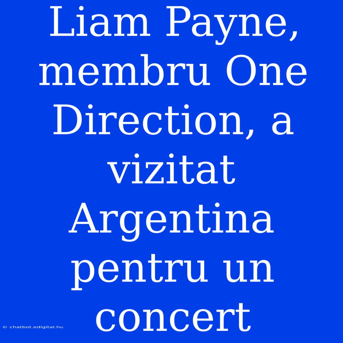 Liam Payne, Membru One Direction, A Vizitat Argentina Pentru Un Concert