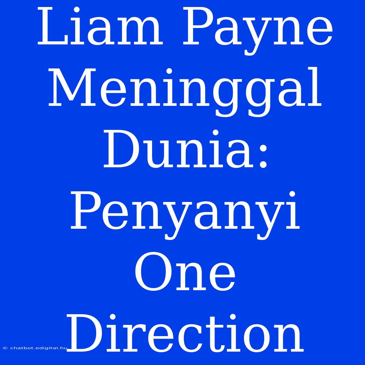 Liam Payne Meninggal Dunia: Penyanyi One Direction