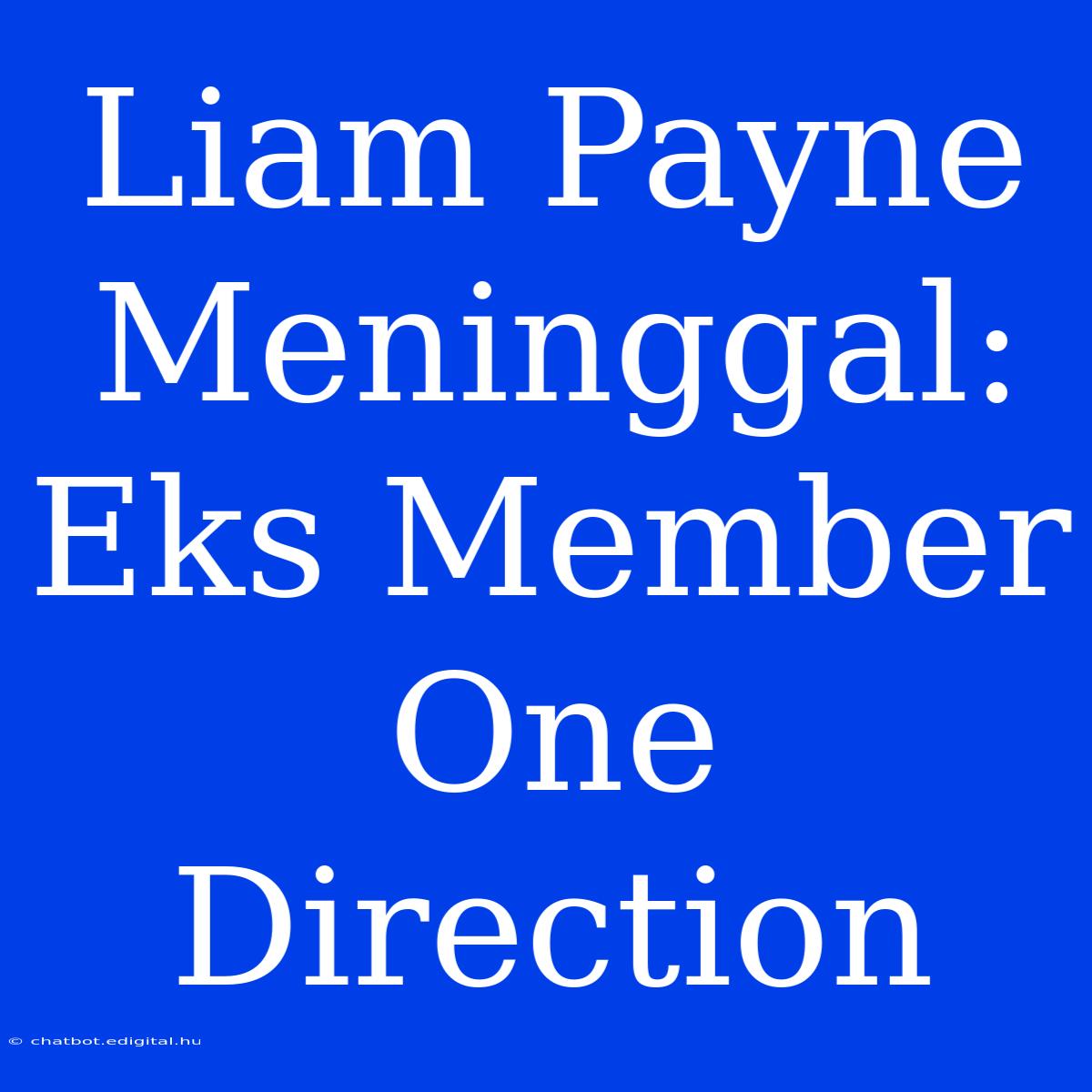 Liam Payne Meninggal: Eks Member One Direction