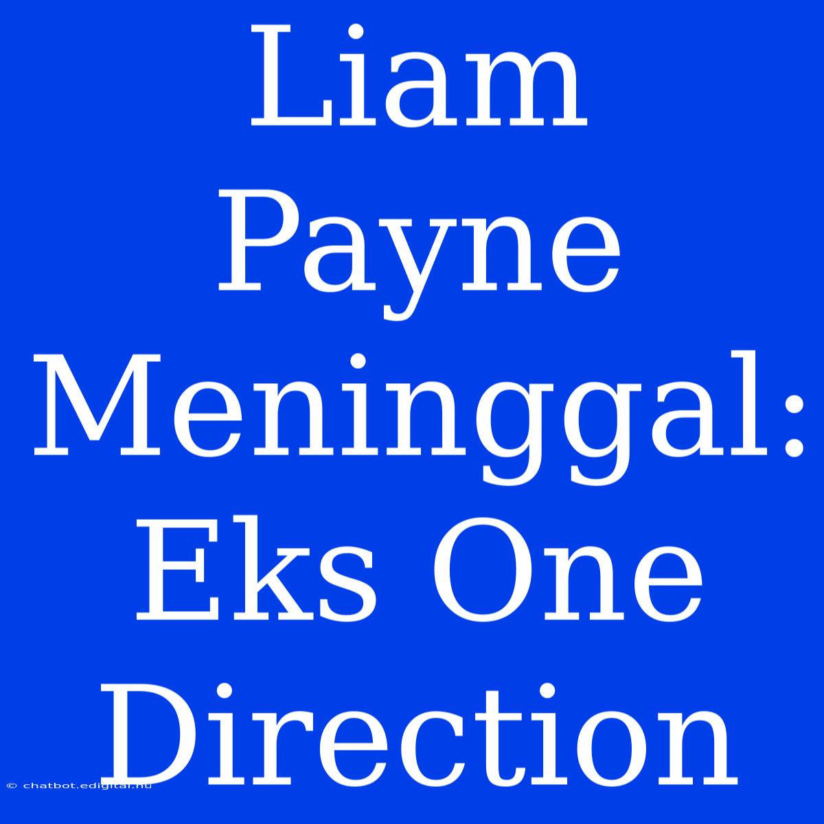 Liam Payne Meninggal: Eks One Direction