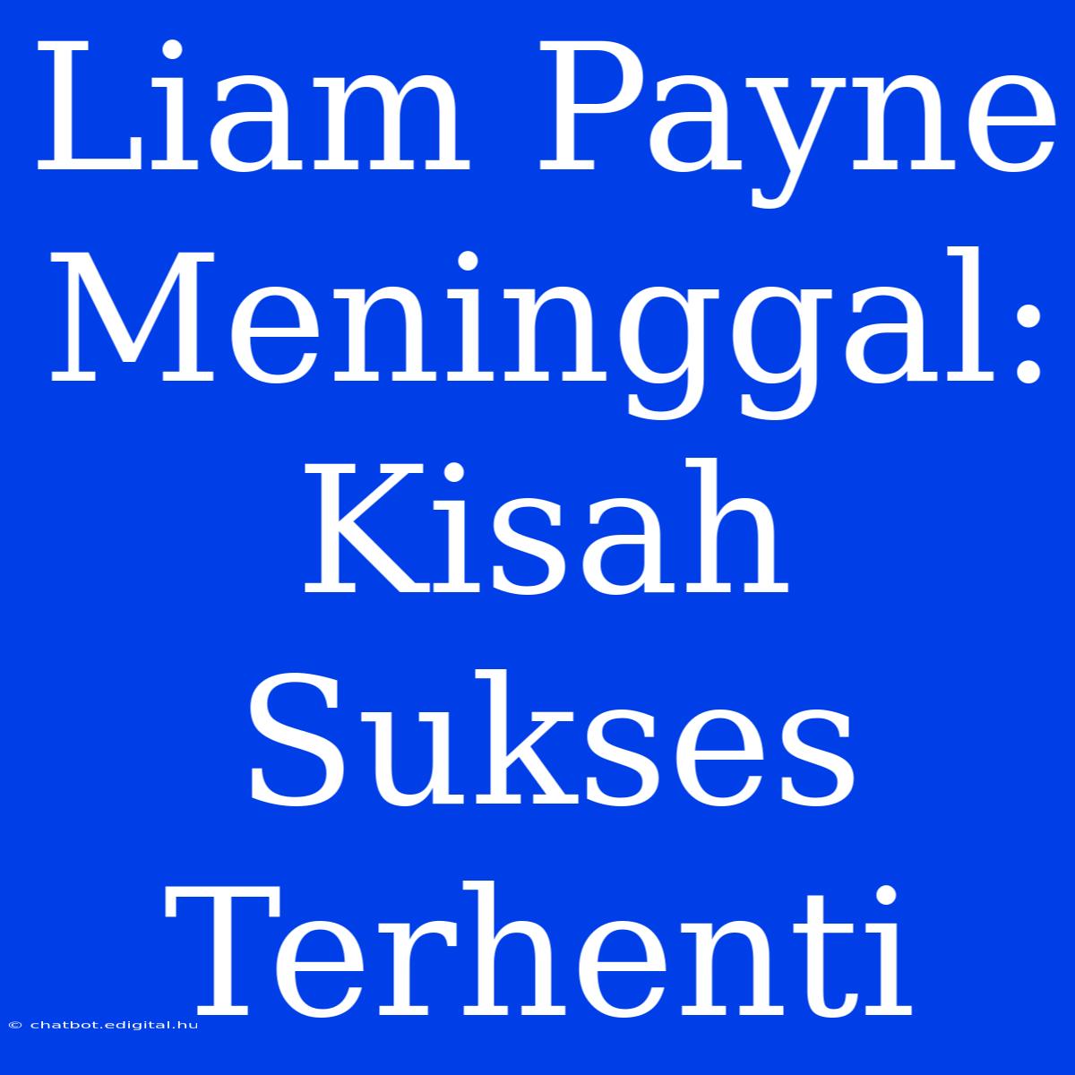 Liam Payne Meninggal: Kisah Sukses Terhenti